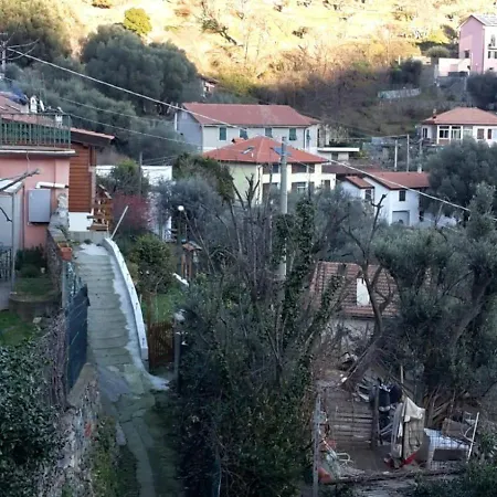 Grazioso Nel *